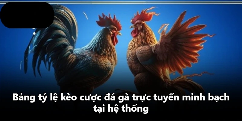 Bảng tỷ lệ kèo cược đá gà trực tuyến minh bạch tại hệ thống