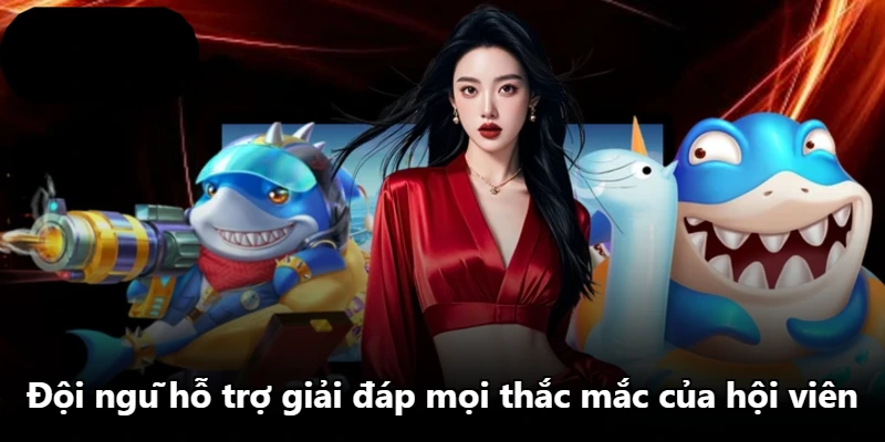 Đội ngũ hỗ trợ giải đáp mọi thắc mắc của hội viên
