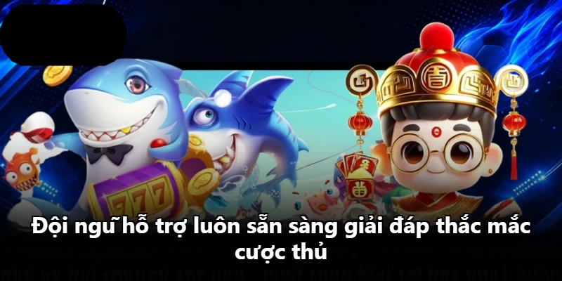 Đội ngũ hỗ trợ luôn sẵn sàng giải đáp thắc mắc cược thủ Đội ngũ hỗ trợ luôn sẵn sàng giải đáp thắc mắc cược thủ