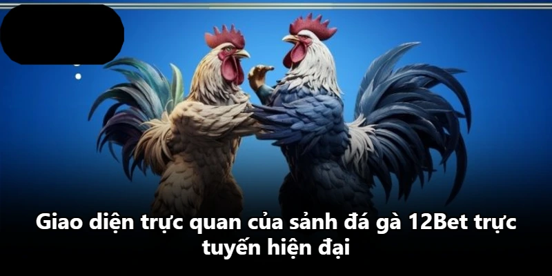 Giao diện trực quan của sảnh đá gà 12Bet trực tuyến hiện đại