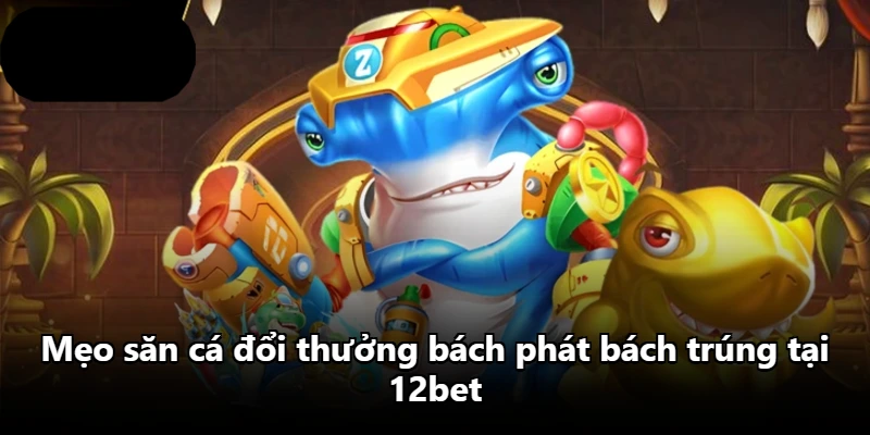 Mẹo săn cá đổi thưởng bách phát bách trúng tại 12bet
