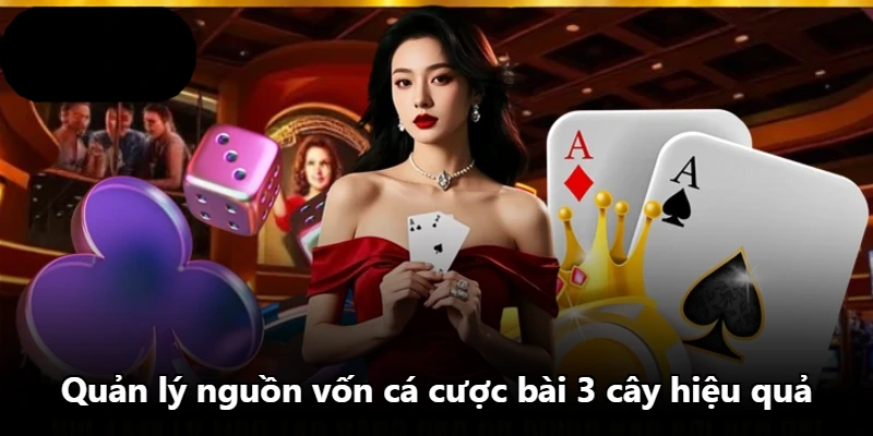 Quản lý nguồn vốn cá cược bài 3 cây hiệu quả Quản lý nguồn vốn cá cược bài 3 cây hiệu quả