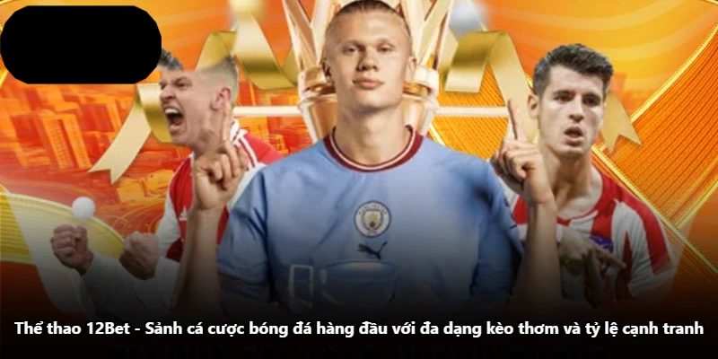 Thể Thao 12Bet - Sảnh Cá Cược Bóng Đá Hàng Đầu Với Đa Dạng Kèo Thơm Và Tỷ Lệ Cạnh Tranh
